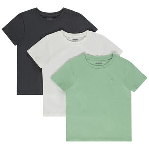 Set van 3 t-shirts met korte mouwen puff print palmboom voor jongen 