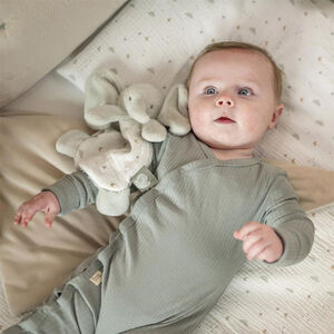 Mini doudou Éléphant 25cm Ecru 