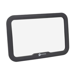 Panoramische autospiegel Arthur 