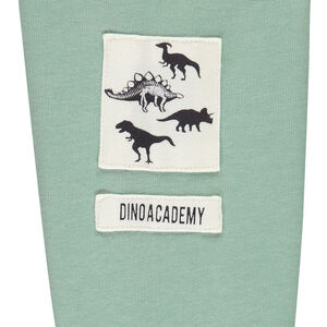 Joggingensemble fleece met dinosaurussen voor jongen 