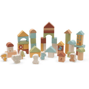 Set van 50 houten blokken Jollies 24m+ 