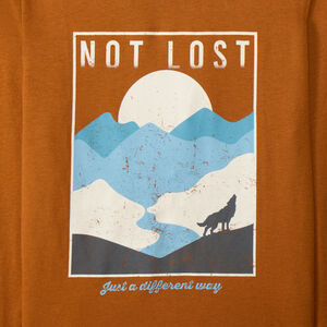 Set van 4 lange mouw shirts in jersey voor jongens, met effen kleuren en fantasieprints 