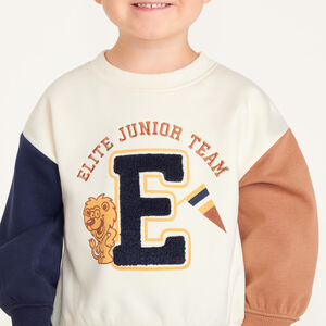 Oversized bicolore sweatshirt voor babyjongen in campusstijl 