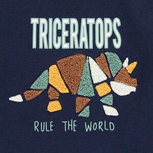 T-shirt met lange mouwen en patroon in lusjes voor jongens 