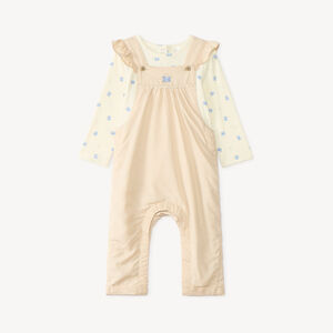 Tweedelige set met een tuinbroek en een T-shirt met lange mouwen bedrukt met vlinders voor baby meisjes. 