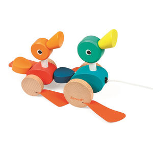 Canard Family à promener  