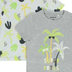 Lot de 2 t-shirts manches courtes motifs palmiers garçon 