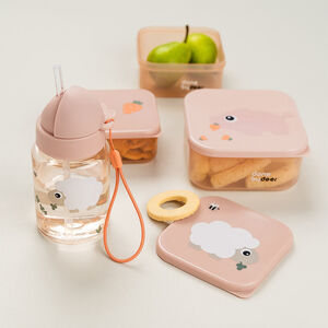 Drinkfles met rietje 280 ml Tiny Farm roos van Done By Deer 