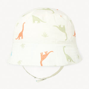 Bob met dinosaurussen voor jongens 