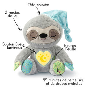 Mon paresseux aux rêves merveilleux 