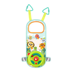 Autostuur licht en geluid 