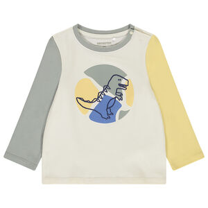 T-shirt met lange mouwen in colour block effect met dino voor baby jongen 