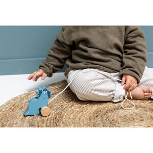 Trekspeelgoed van hout 9CM Mr. Triceratops 