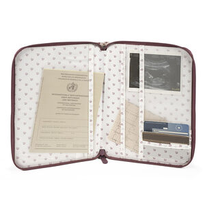 Carnet de santé Cherry Rayures 