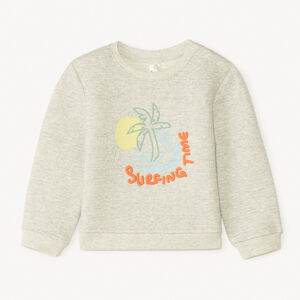 Sweatshirt met surfen borduursel voor babyjongen 