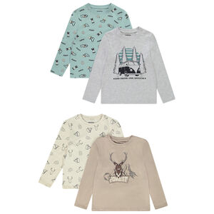 Lot de 4 t-shirts manches longues en jersey imprimé montagnes garçon 