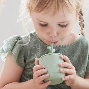 Lot de 2 gobelets avec paille - Wally Rose 