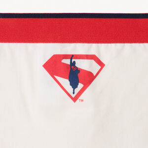 Set van 3 Superman Warner boxershorts voor jongens 