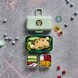 Lunchbox Tresor Forest Groen 800ml 