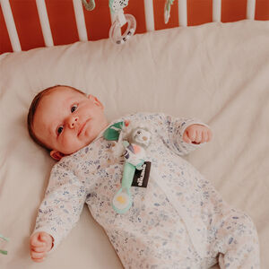 Fopspeenclip Chillos de luiaard met pluche 