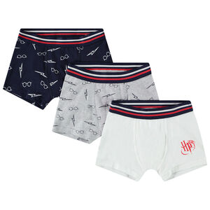 Set van 3 boxershorts Harry Potter Warner voor jongens 