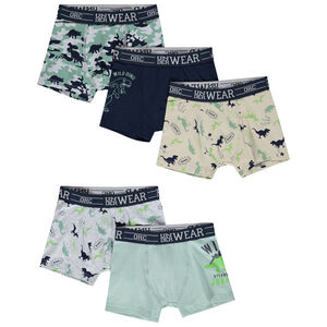 Lot de 5 boxers motifs Wild Dinos garçon 