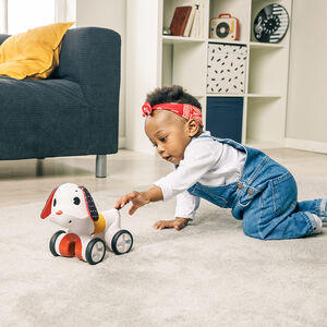 Chien électronique Follow me Charlie Rock 