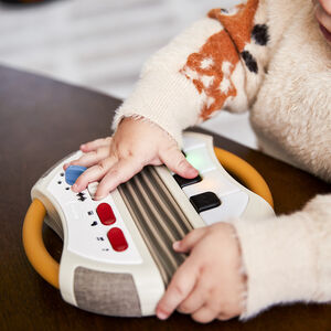 Accordéon électronique Rock 