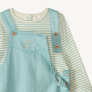 Set met tuinbroek + t-shirt met dino borduursel voor baby jongens 