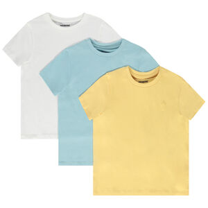 Lot de 3 t-shirts manches courtes print palmier pour garçon 