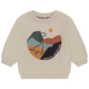 Oversize sweatshirt met puff print dinosaurus voor baby jongen 