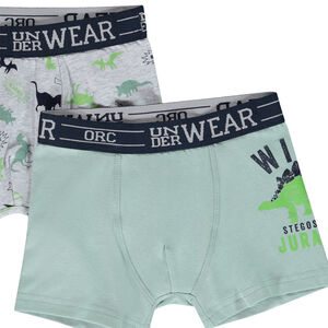 Lot de 5 boxers motifs Wild Dinos garçon 