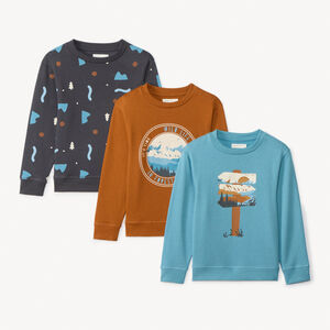 Lot de 3 sweats molleton fantaisies pour garçon  