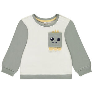 Sweatshirt met colour block effect en fantasiezak voor baby jongen 