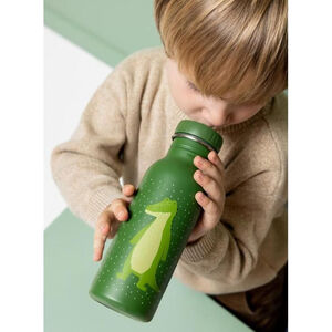 Gourde en acier inoxydable 500ml Mr. Alligator 