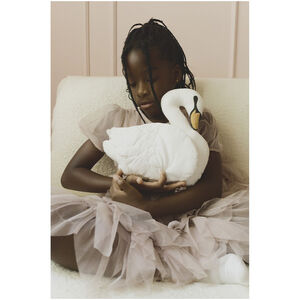 Kussen 30x30cm Swan 