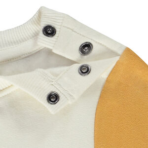 Sweat color block Simba Disney pour bébé garçon 