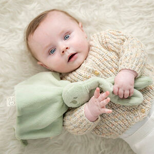 Doudou Lapin 27cm Vert Tilleul 