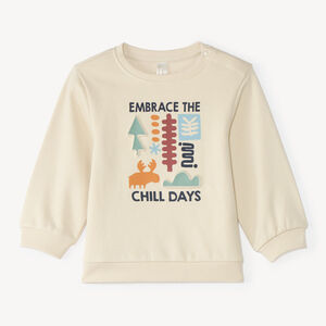 Sweat molleton bébé garçon print fantaisie 