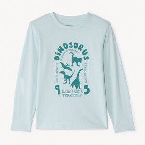 Langarm T-shirt met print voor jongen 