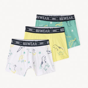 Lot de 3 boxers fantasie motifs dinosaure pour garçon 