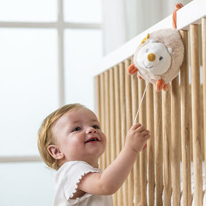 Mini pluche muzikale activiteit egel Mila Lana en Zoé 