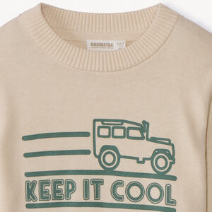 Gebreide trui met print voor jongens 