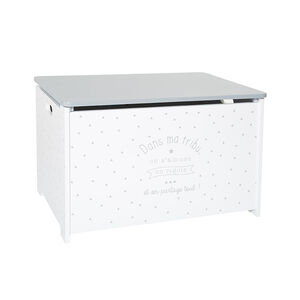 Coffre à jouet - Gris  