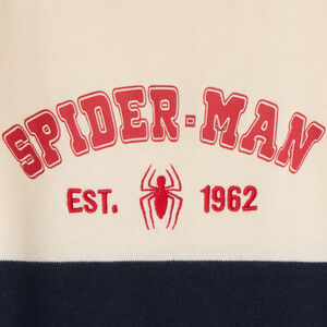 Pull bicolore Spider-Man Marvel garçon 
