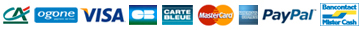 Paiement sécurisé avec Ingenico Ogone ssl