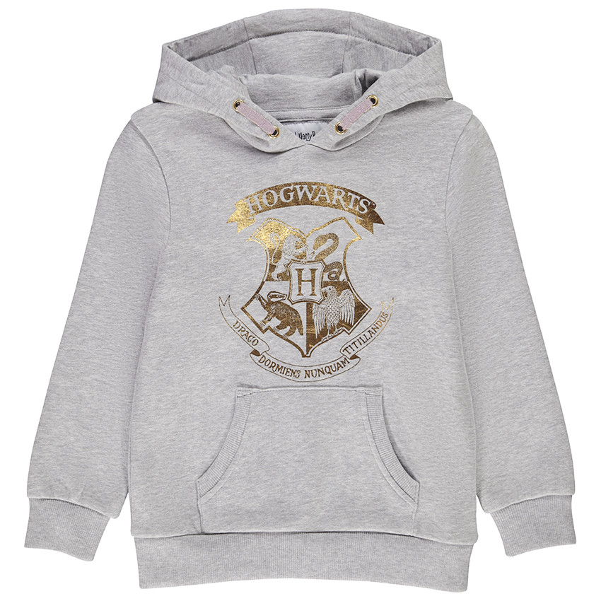Sweat à Capuche Harry Potter Gryffondor - Licence Officielle - Tissu Chaîne Doux - Broderie Quidditch - Couleur Marron Chiné - Unisexe