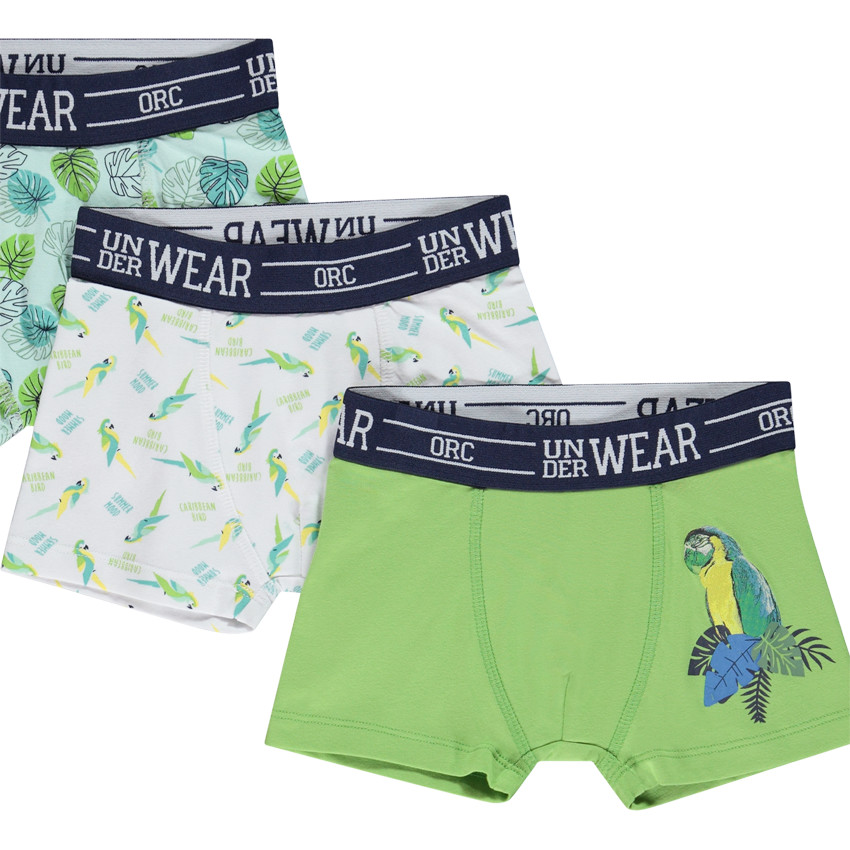Set van 5 boxershorts met 