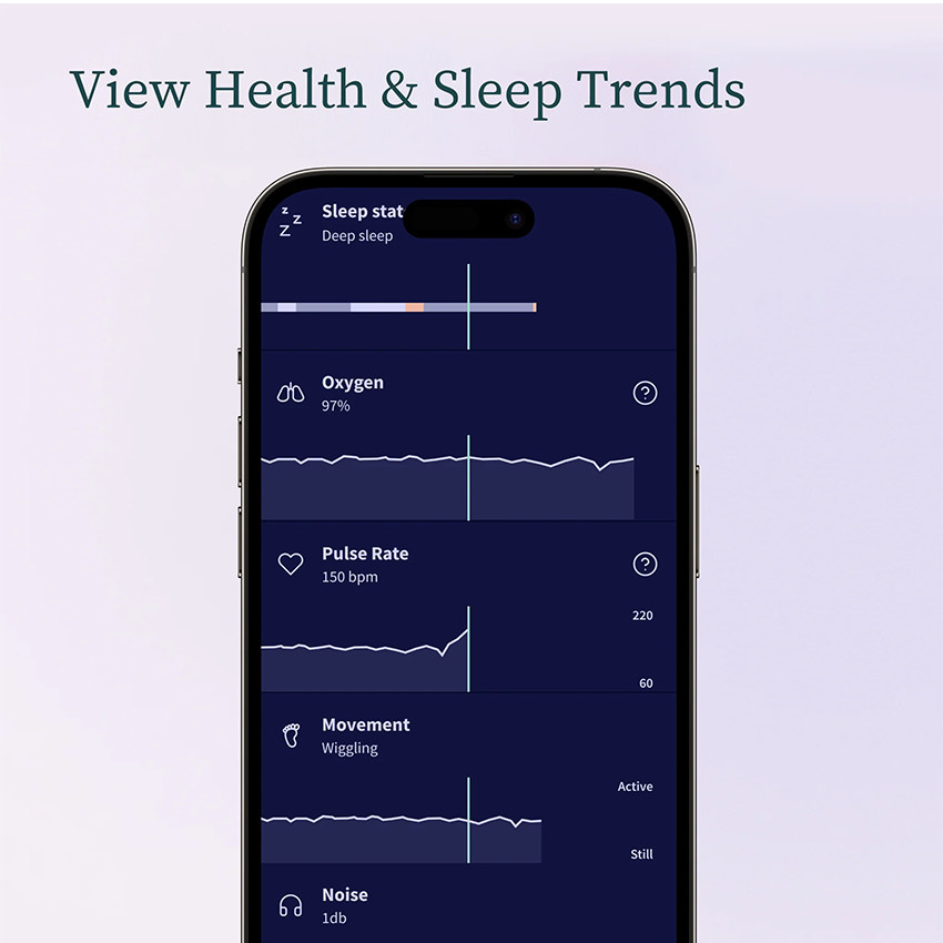 Babyphone vidéo Pack Dream Sock + Cam2 Blue 