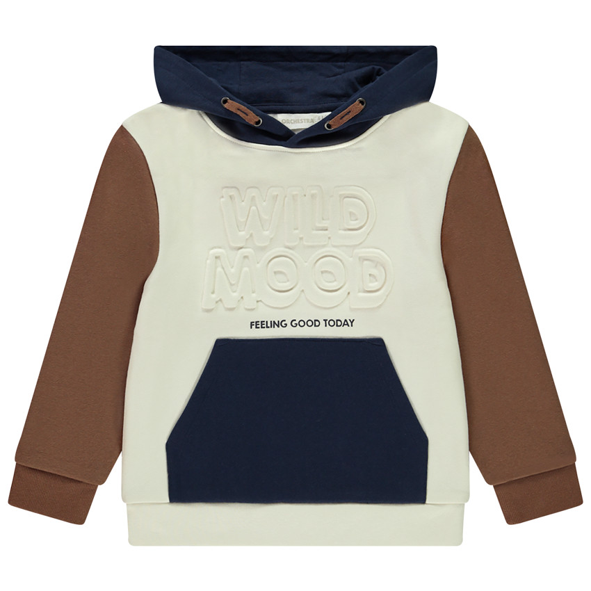 Sweat effet color block avec motif en relief pour garçon 